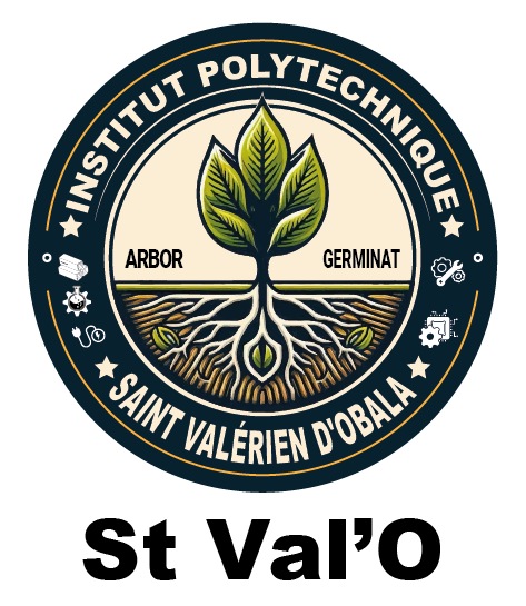 Logo Poly